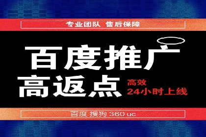 专业sem托管服务案例，揭秘广告投放优化策略