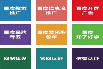 某行业巨头托管竞价sem的胜利之路