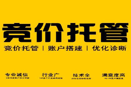 百度竞价公司案例分析：提升转化率的策略